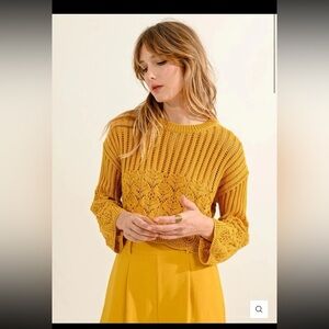 NWT Molly Bracken CROPPED JUMPER IN POINTELLE KNIT in Yellow Mango 
Size Small